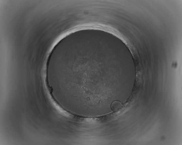 X0000100331523200806051522