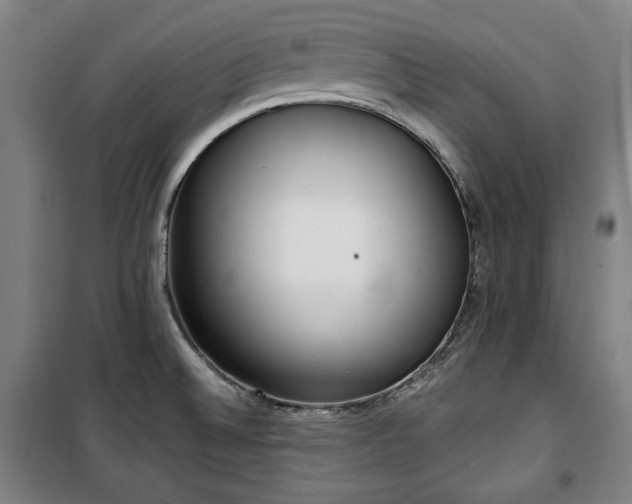 X0000100331524200806051522