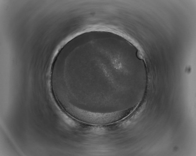 X0000100331525200806051522