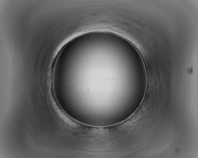 X0000100331526200806051522