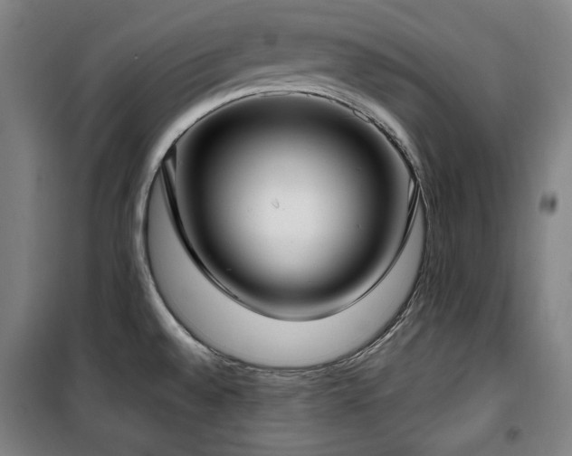 X0000100331528200806051522