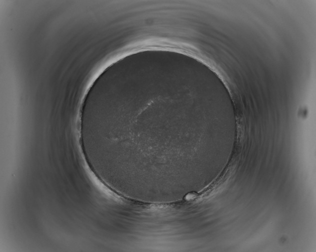 X0000100331531200806051522