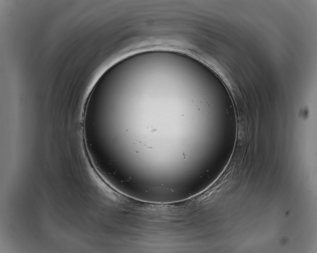 X0000100331532200806051522