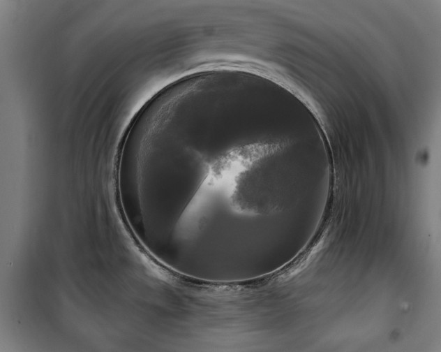 X0000100331533200806051522