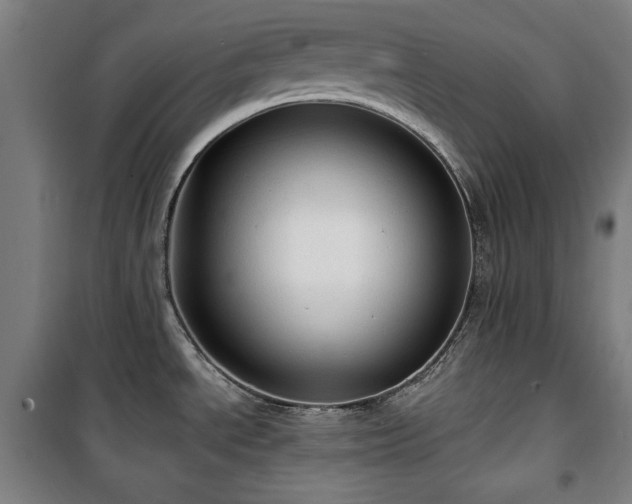 X0000100331534200806051522