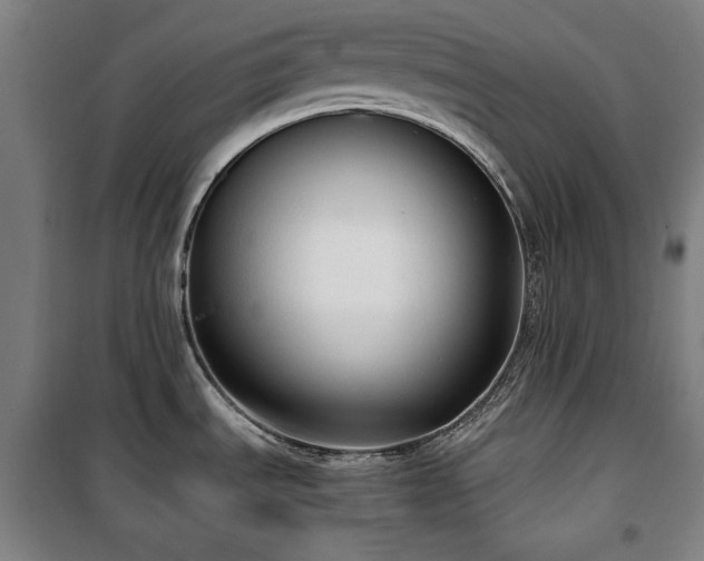 X0000100331535200806051522
