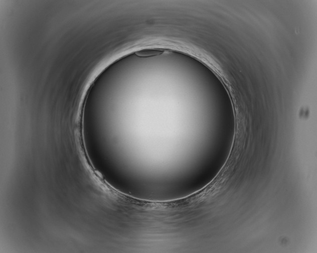X0000100331536200806051522