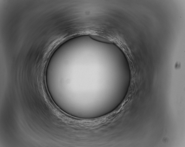 X0000100330001200806121138