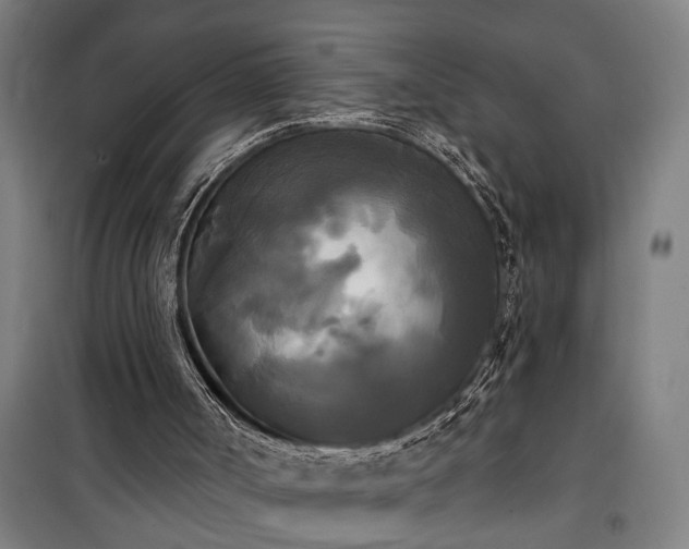 X0000100330002200806121138