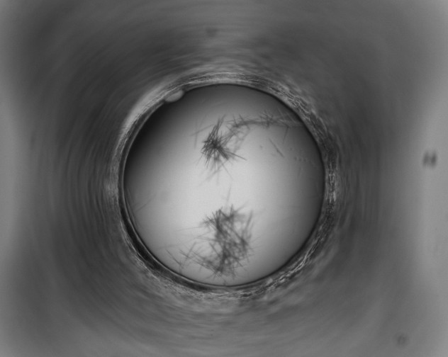 X0000100330004200806121138