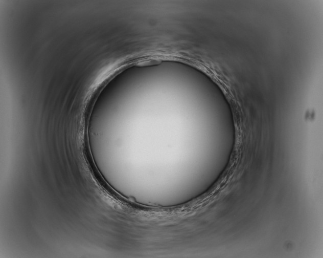 X0000100330005200806121138