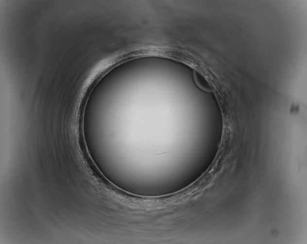 X0000100330006200806121138