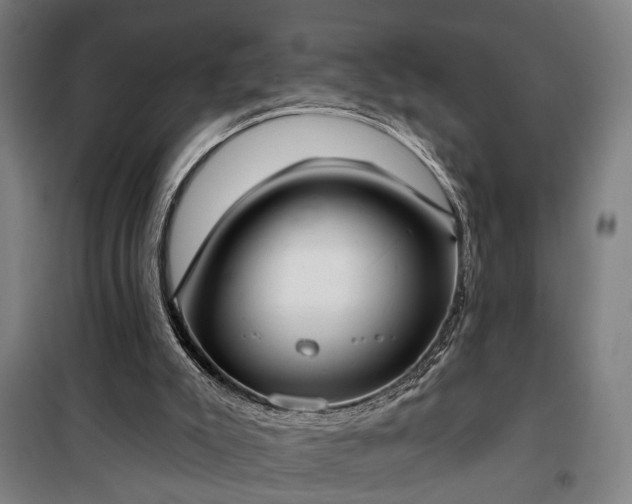 X0000100330007200806121138