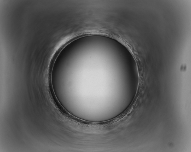 X0000100330008200806121138