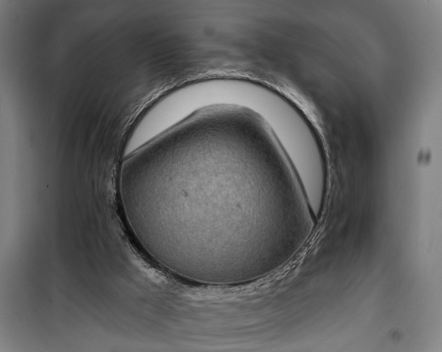 X0000100330009200806121138