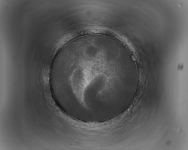 X0000100330010200806121138