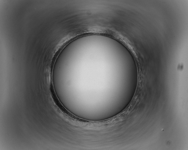 X0000100330011200806121138