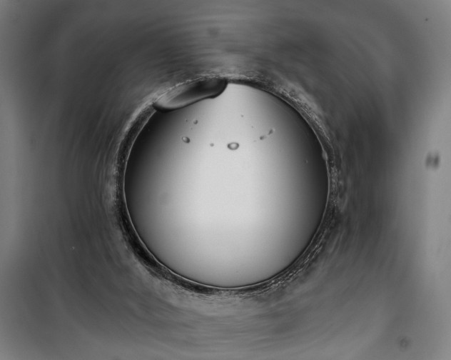 X0000100330012200806121138