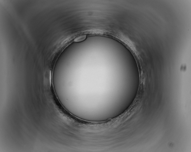 X0000100330013200806121138