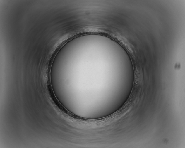 X0000100330015200806121138