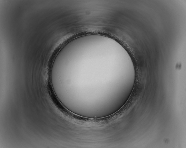 X0000100330016200806121138