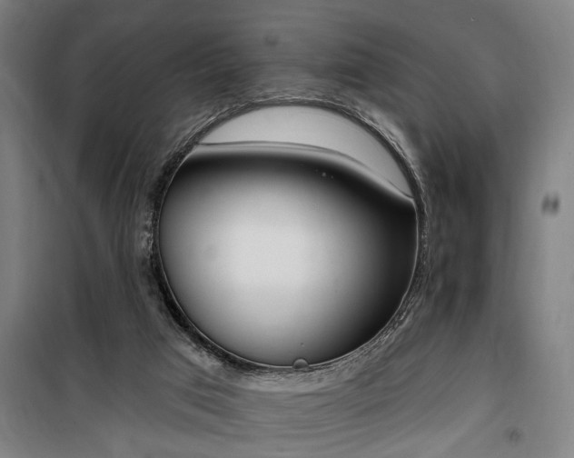 X0000100330017200806121138