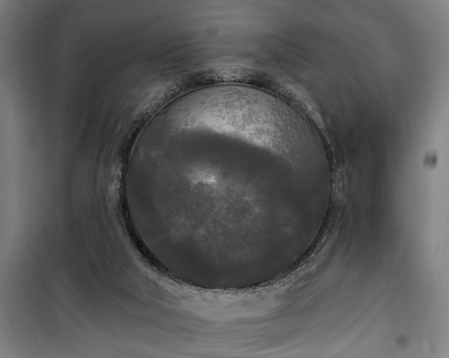 X0000100330018200806121138