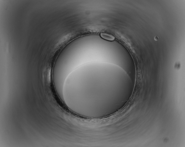 X0000100330019200806121138