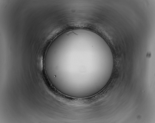 X0000100330020200806121138