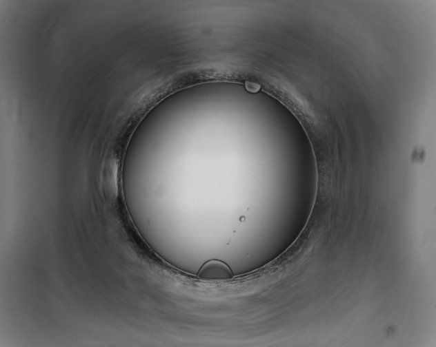 X0000100330022200806121138