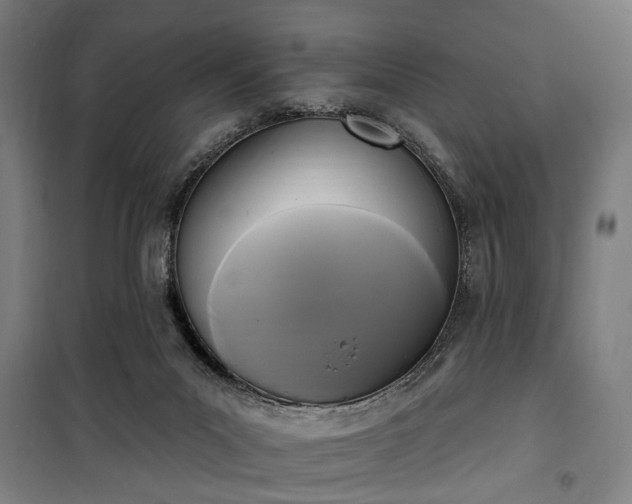 X0000100330023200806121138