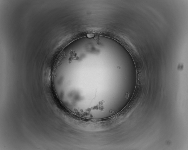 X0000100330024200806121138