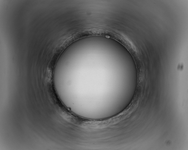 X0000100330025200806121138