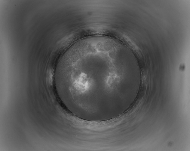 X0000100330026200806121138