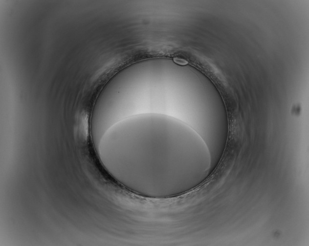 X0000100330027200806121138