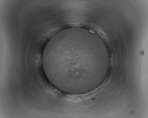 X0000100330029200806121138