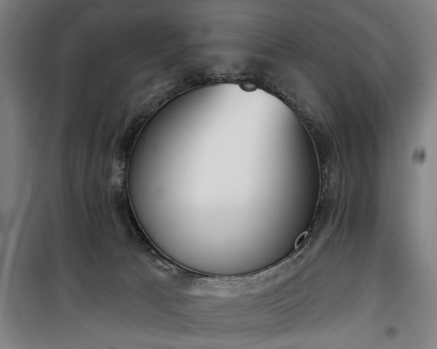 X0000100330033200806121138