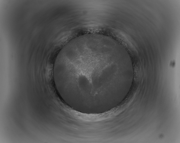 X0000100330034200806121138