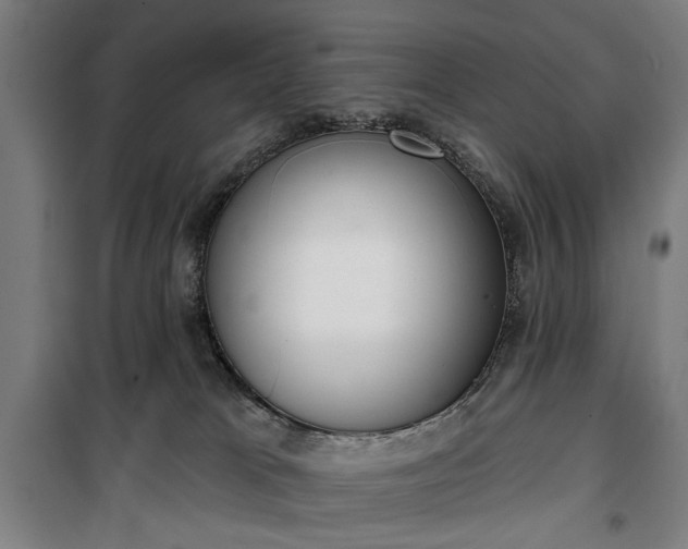 X0000100330037200806121138