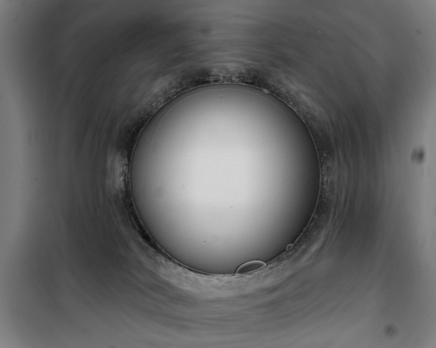 X0000100330038200806121138