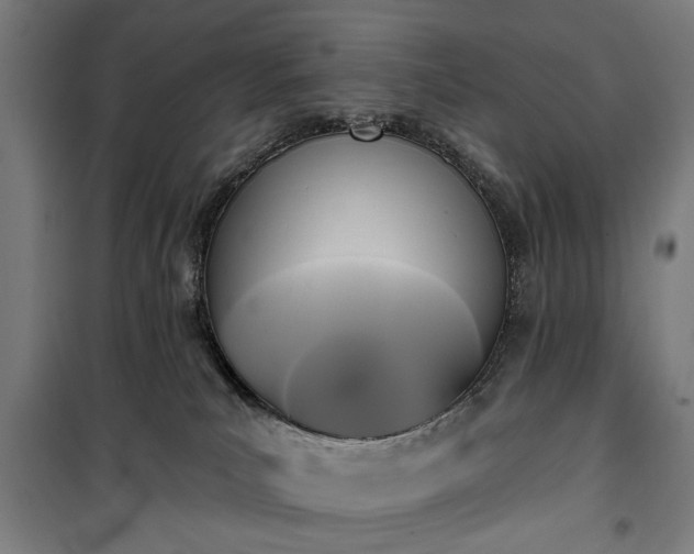 X0000100330039200806121138