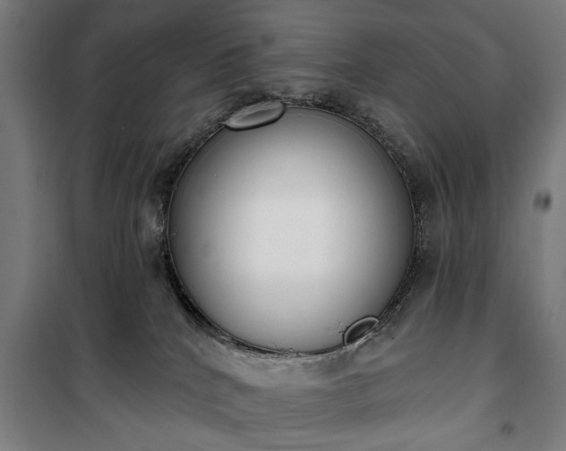 X0000100330040200806121138