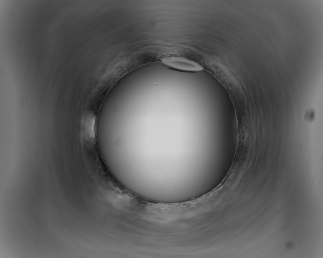 X0000100330041200806121138