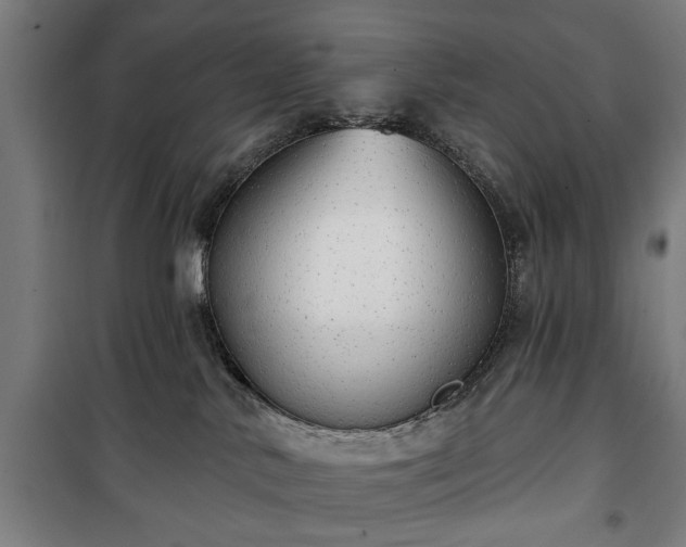 X0000100330042200806121138