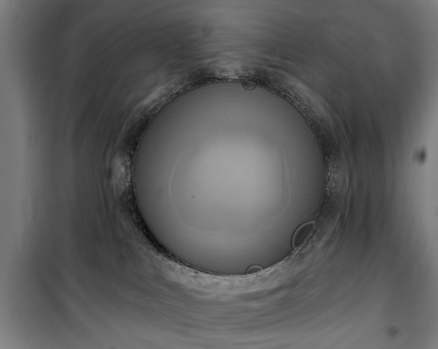 X0000100330043200806121138