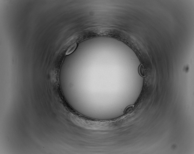 X0000100330044200806121138