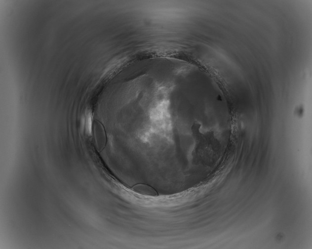 X0000100330046200806121138