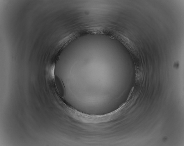 X0000100330047200806121138