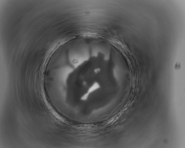 X0000100330049200806121137