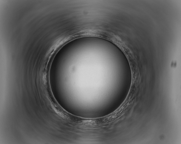 X0000100330050200806121137